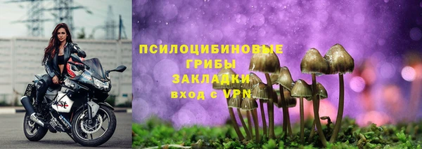 герыч Арсеньев