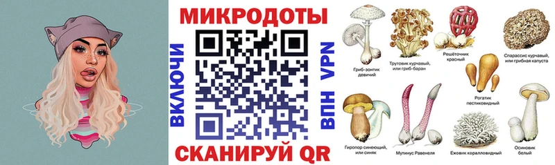 Галлюциногенные грибы мицелий Малая Вишера