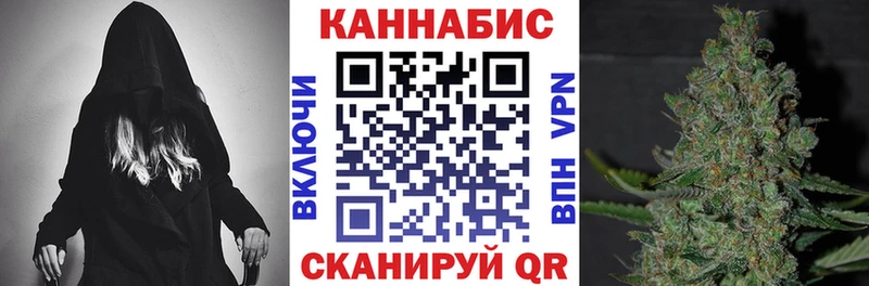 где купить Малая Вишера Конопля ГИДРОПОН