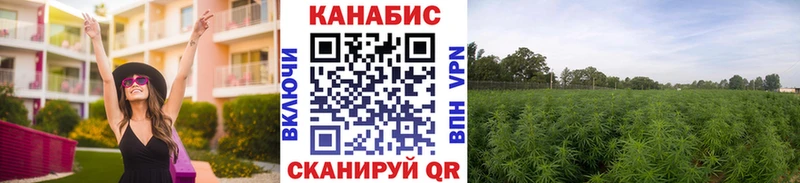 Шишки марихуана THC 21% Малая Вишера
